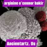 arginine o'connor bakir