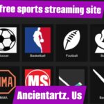 free sports streaming site